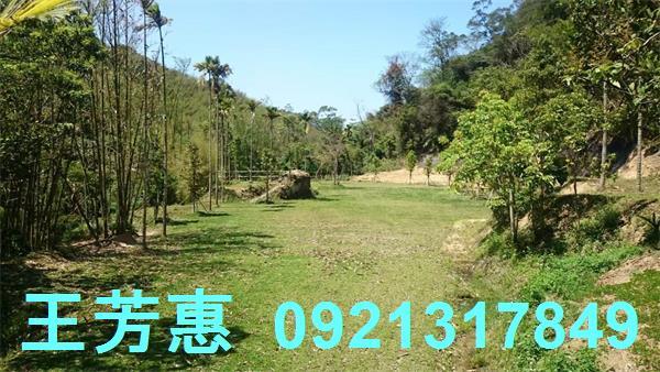 苗栗農地-3