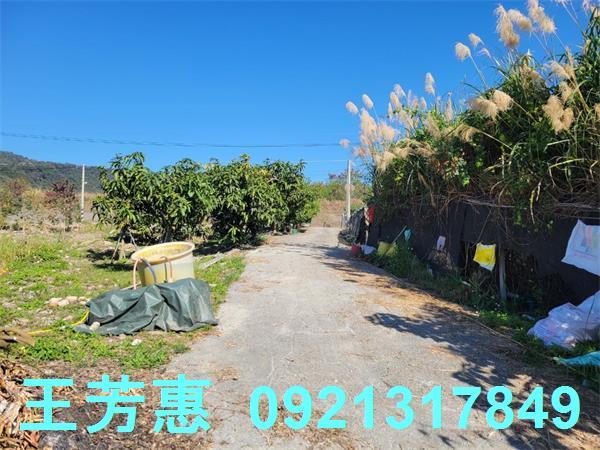 苗栗農地-1