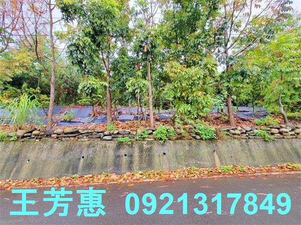 台中建地-2