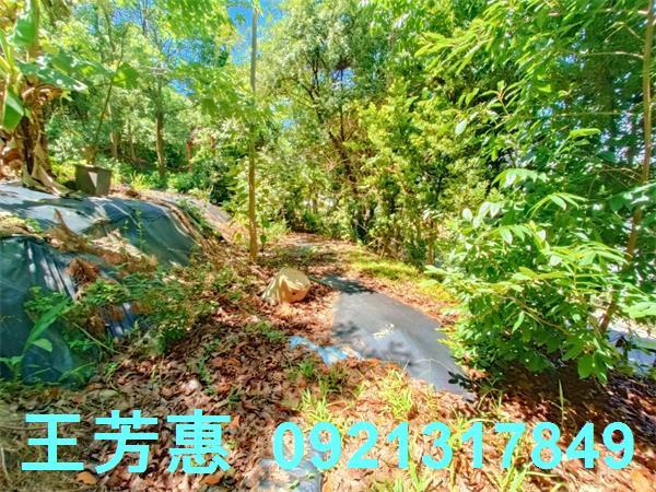 台中建地-5