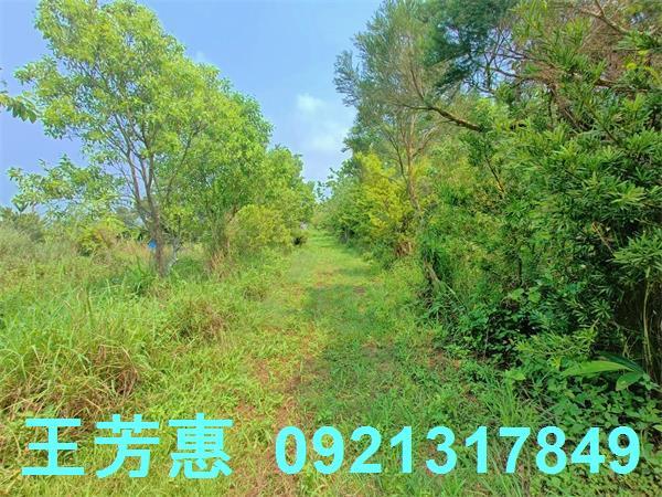 台中農地-3