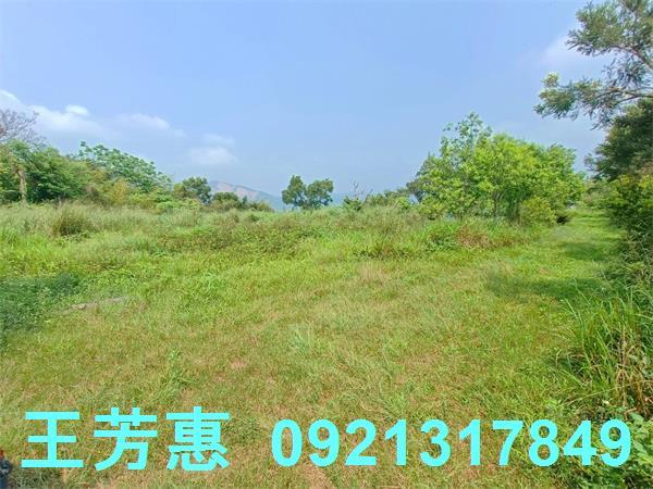 台中農地-4