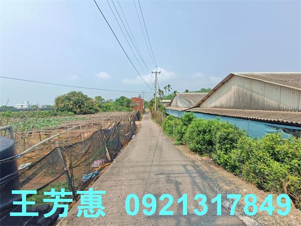 台中農地-7