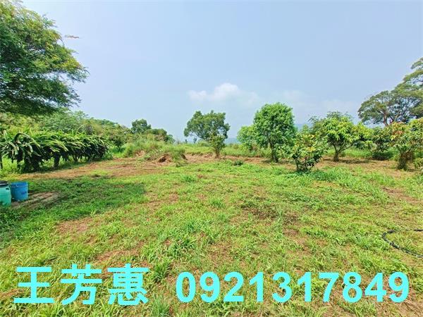 台中農地-8