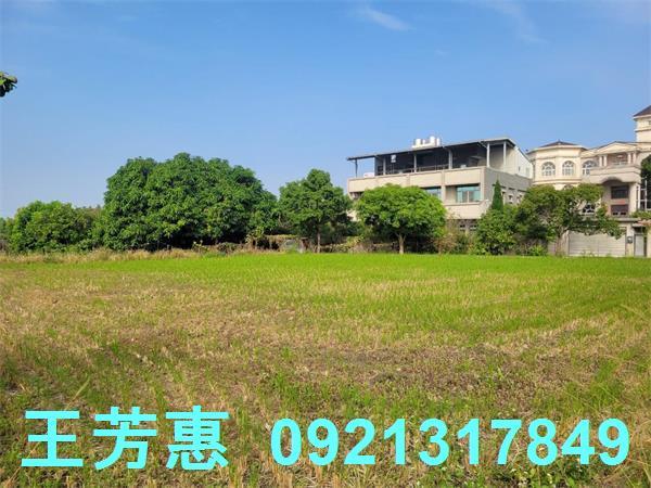 台中農地-1