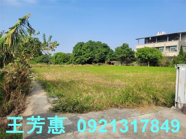 台中農地-5