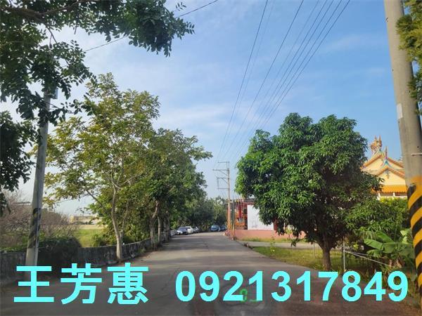 台中農地-7