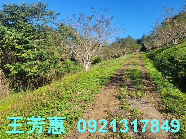 苗栗農地-2