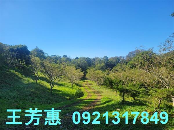 苗栗農地-3