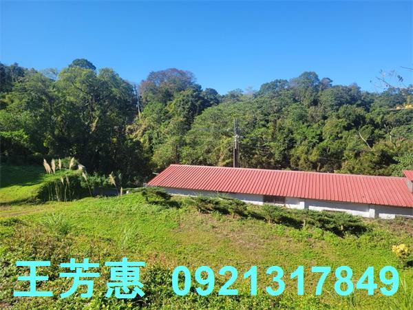 苗栗農地-4
