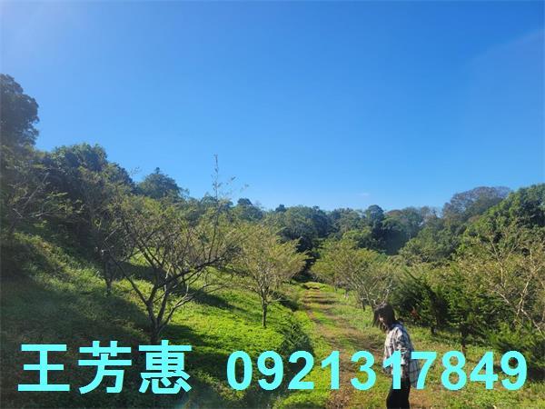 苗栗農地-6