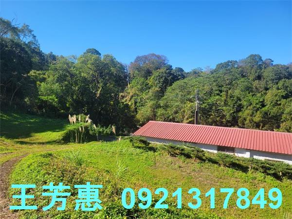 苗栗農地-7