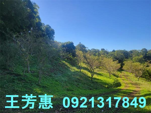 苗栗農地-8