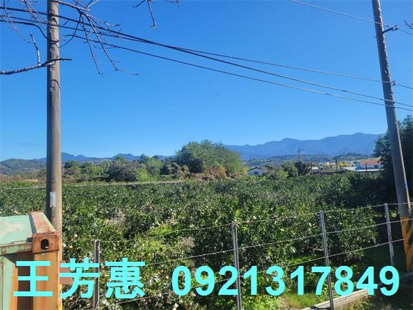 苗栗農地-0