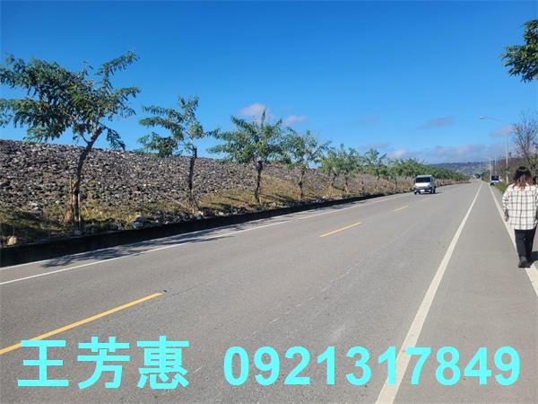 苗栗農地-3
