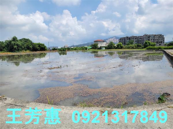 台中農地-9