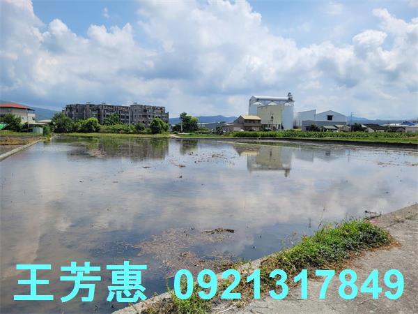 台中農地-12