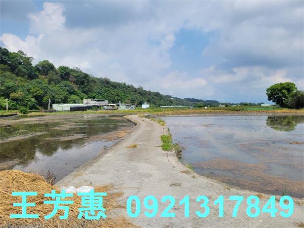 台中農地-13