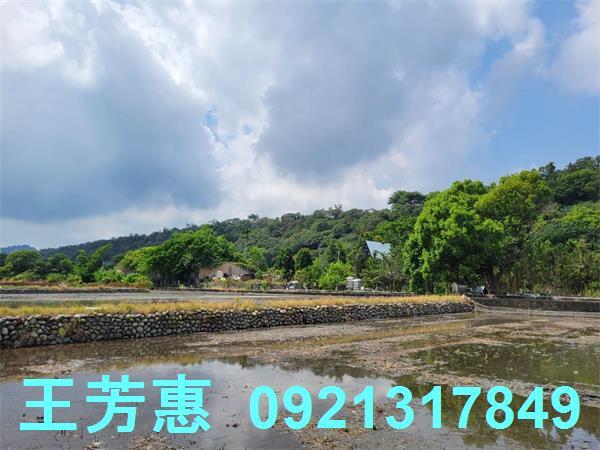 台中農地-14