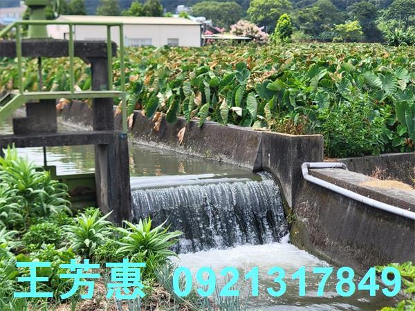 台中農地-3