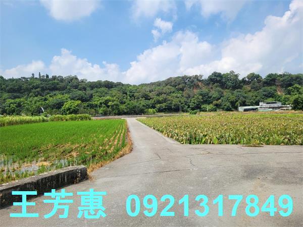 台中農地-4