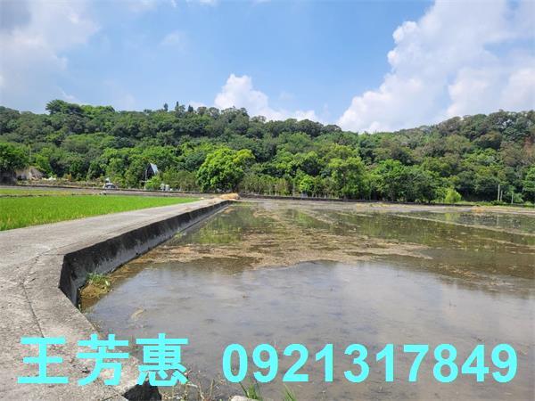 台中農地-6