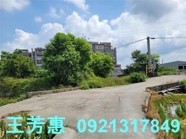 台中農地-7