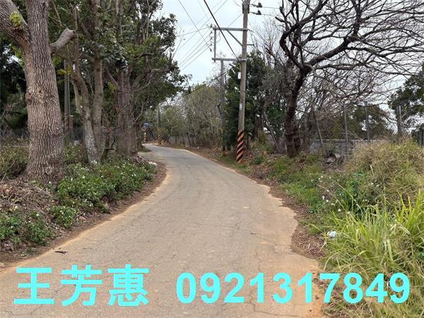 台中農地-9