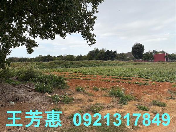 台中農地-1
