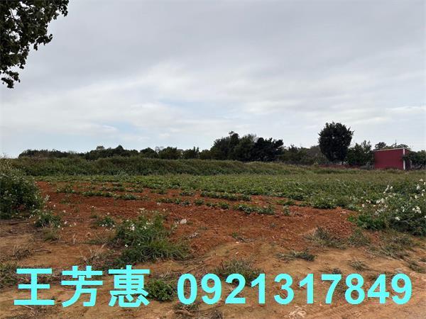 台中農地-3