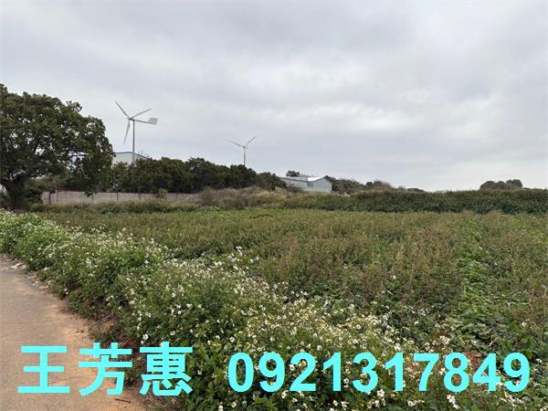 台中農地-7