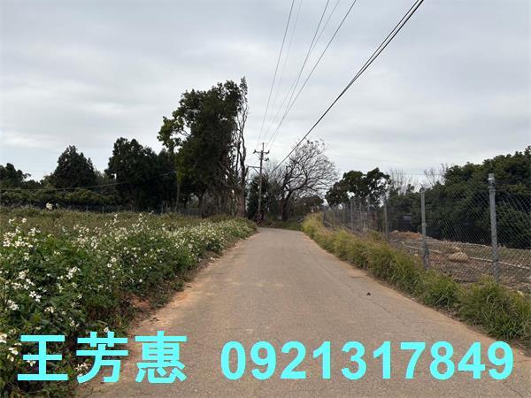 台中農地-8