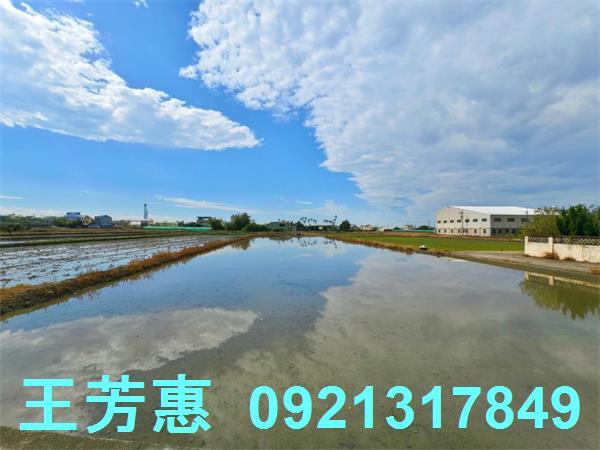 台中農地-11