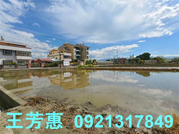 台中農地-6