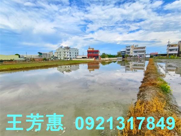 台中農地-7