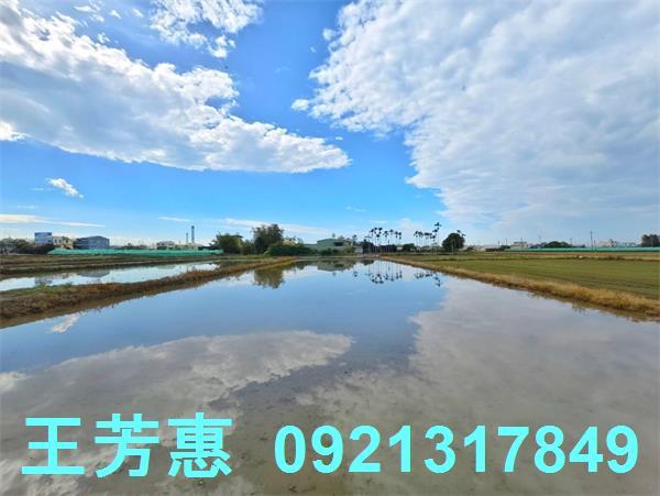 台中農地-8