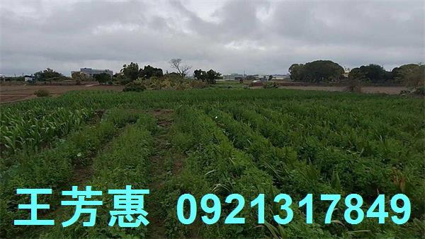 台中農地-10