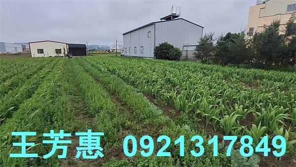 台中農地-11