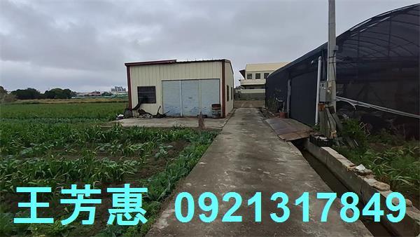 台中農地-12