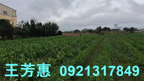 台中農地-4