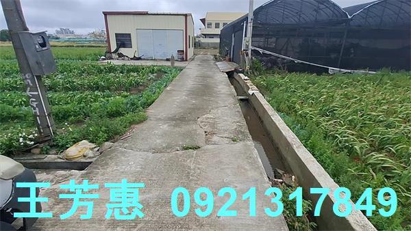 台中農地-5