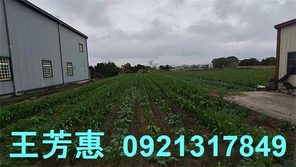 台中農地-6