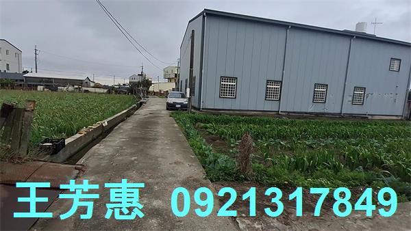 台中農地-7
