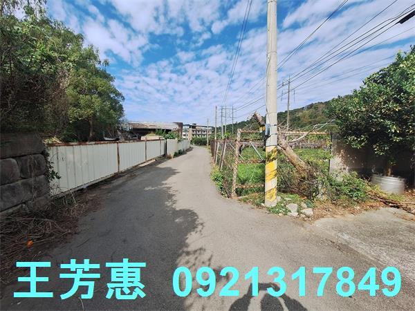 台中農地-9