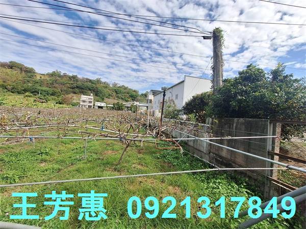 台中農地-11