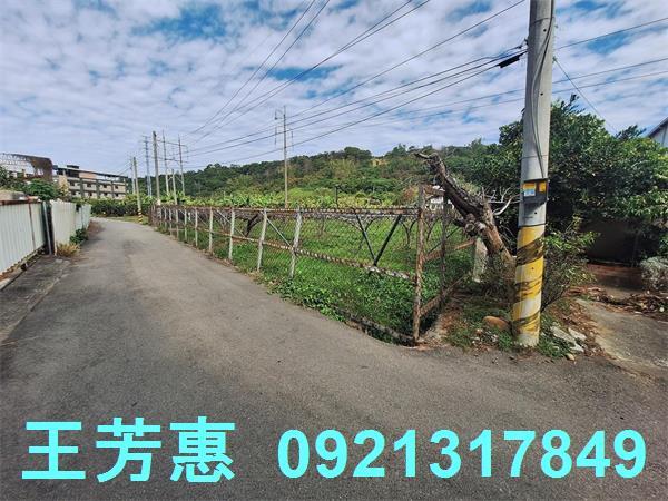台中農地-4