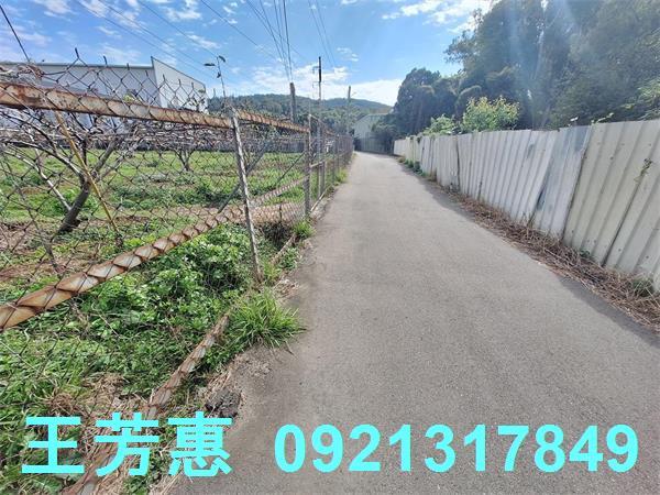 台中農地-5