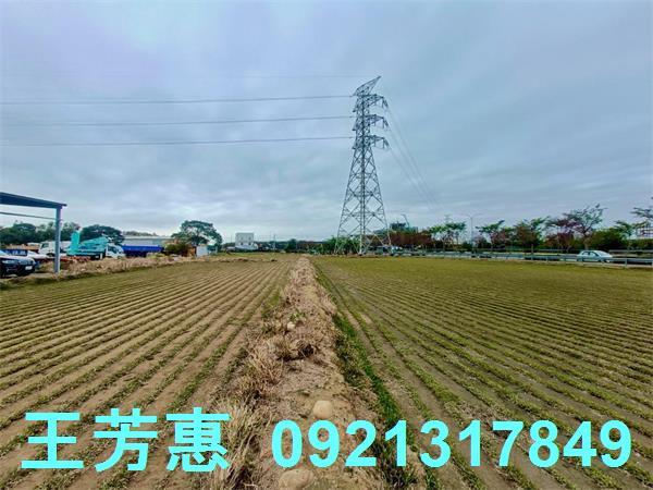 台中后里農地-11