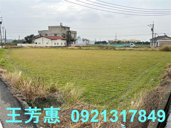 台中外埔農地-1