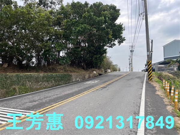 台中外埔農地-5